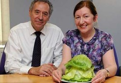 Mendadak Ngidam Sawi Ternyata Gejala Kanker Payudara