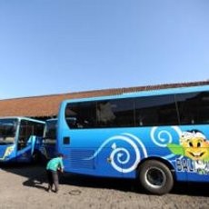 Hore! Bus Trans Sarbagita Segera Beroperasi di Bali