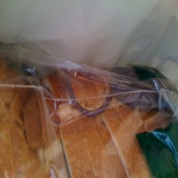 Iiiihhhh.... Ada Tikus Hidup di Dalam Roti!