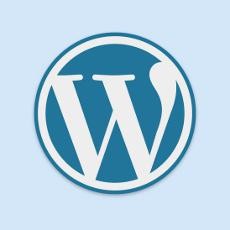 Ngoprek Theme WordPress, Dapat Hadiah Rp 6 Juta 