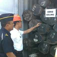 Ekspor Enam Kontainer Kayu Ilegal Digagalkan