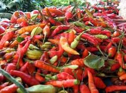 Ramadan, Harga Cabai Rawit Naik Turun