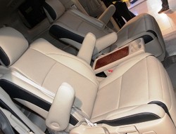 Kulit Jok Peredam Penyakit Paru-paru