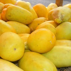 Segarnya Takjil dengan Mentimun Suri