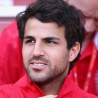 Menunggu Akhir Saga Fabregas