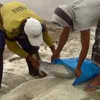 11.000 Ton Garam Impor Made in India Disegel