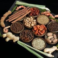 Pakar Herbal Profesor Hembing Meninggal Dunia