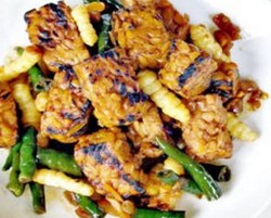 2 Kreasi Olahan Tempe