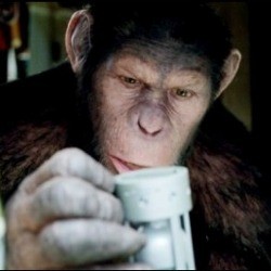 Sutradara Siapkan Cerita Sekuel Rise of the Planet of the Apes