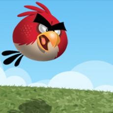 Angry Birds Ekspansi ke Produk Bayi 