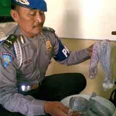 15 Kg Bahan Peledak Diamankan dari Penjual Bakso