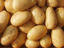 Inilah Sayur dan Buah yang Akrab dengan Pestisida!