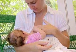 Ibu Menyusui Harus Dilindungi dari Gangguan-gangguan