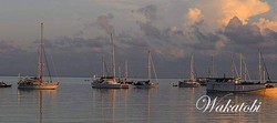 Sail Wakatobi: Melestarikan Samudera untuk Masa Depan