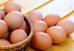 Ayam Pemakan Gandum, Telurnya Bagus untuk Cegah Kanker