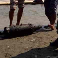 Mortir Seberat 80kg Ditemukan di Bawah Jembatan