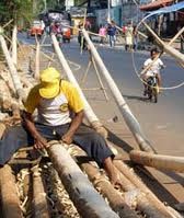  Pohon Pinang Tak Laku untuk 17 Agustus