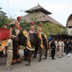 Wah! Gajah di Bali Ikut Upacara HUT RI