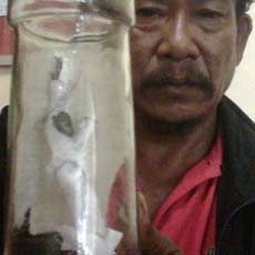 Polisi Akan Larung Tuyul Tangkapan Warga ke Sungai Gunungsari