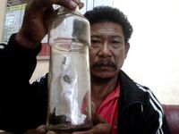 Penangkapan Tuyul Hebohkan Warga