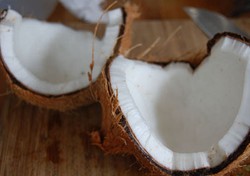 Santan Segar yang Gurih Wangi