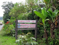 Hutan Taman Eden 100