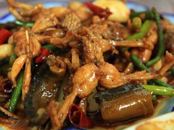 Apakah Keong dan Kodok Halal?