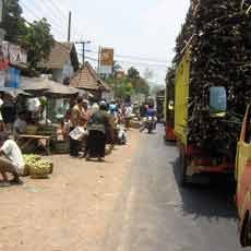 Waspadai 2 Titik Rawan Macet di Lumajang