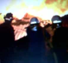 Perusahaan Pengolahan Kayu di Kutisari Dilalap Api