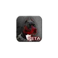  Aktivis Susupi Aplikasi Android dengan Program Jahat 