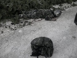 Tak Cukup Bukti Terkait Pembunuhan TNI, Polisi Lepas 1 Warga Papua