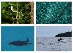 Indahnya Mutu Manikam-Ku, Kalimantan Timur