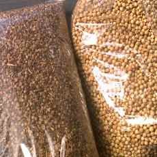 Awas! Ketumbar Warna Putih Bersih Mengandung Zat Kimia