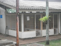 Pemesanan Penitipan Hewan Ramai Menjelang Lebaran