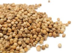 Minyak Ketumbar Ampuh Bunuh Bakteri Pemicu Sakit Perut