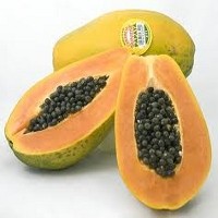 Amerika Waspadai Pepaya Meksiko