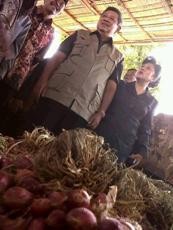 SBY Minta Pedagang Bawang Tak Maruk Ambil Untung