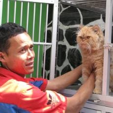 Jelang Lebaran, Tempat Penitipan Hewan Mulai Ramai