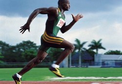 Bir Tanpa Alkohol Perbaiki Daya Tahan Tubuh Pelari