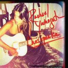  Musisi Ganti DSLR dengan iPhone