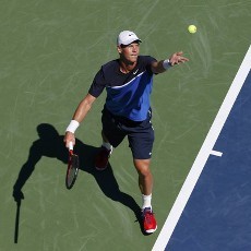 Berdych & Fish Mulus ke Babak Kedua