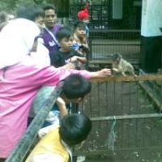 Lebaran Pertama, Bonbin Bandung Incar 10 Ribu Pengunjung