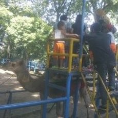 Libur Lebaran, Bonbin Bandung Siapkan 200 Ribu Tiket