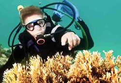 Ekstrak Terumbu Karang Lindungi Kulit dari Panas Matahari