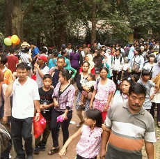 Lalin ke Ragunan Padat, TransJ Cuma Sampai Halte Deptan