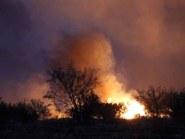 Kebakaran Hutan di Texas