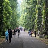 Libur Lebaran, Pengunjung Kebun Raya Bogor Membludak