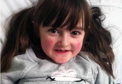 Kulit Serapuh Sayap Kupu-kupu