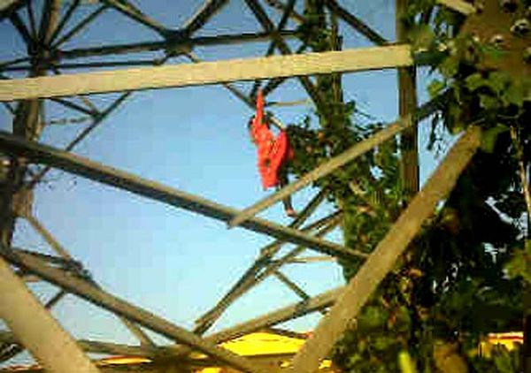 Fitri Spiderkid Kembali Beraksi
