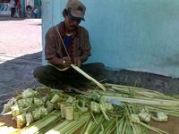 Pedagang Bungkus Ketupat Panen